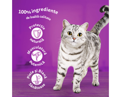 Whiskas Adult cu Pui în aspic [3]