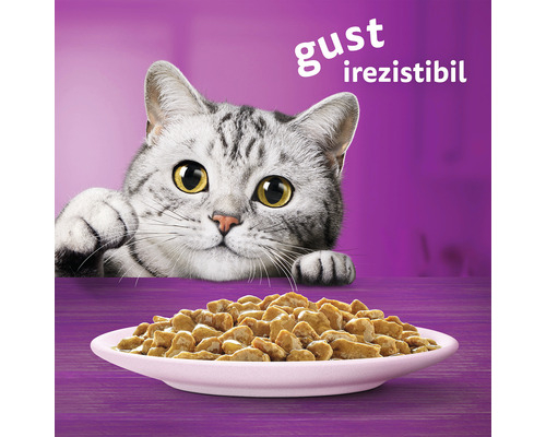 Whiskas Adult cu Somon in sos [2]