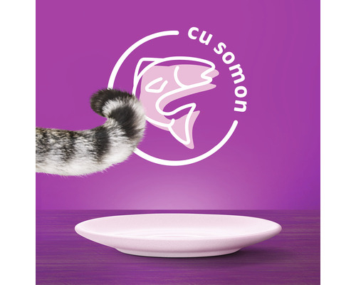 Whiskas Adult cu Somon in sos [3]