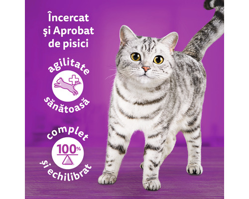 Whiskas Adult Tasty Mix cu miel și curcan în sos [3]