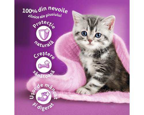 Whiskas Junior cu pui în aspic [2]
