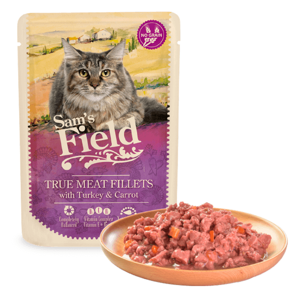 Sam's field Adult Curcan si Morcovi [2]