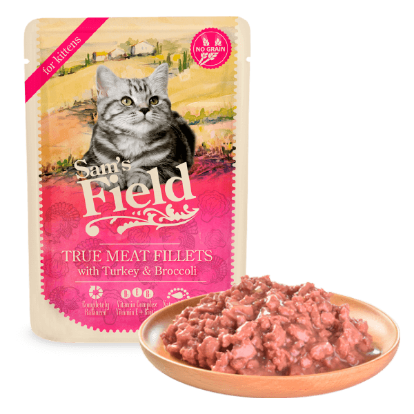 Sam's field Kitten Curcan si Brocoli [2]