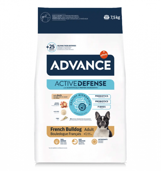 Advance French Bulldog [1]