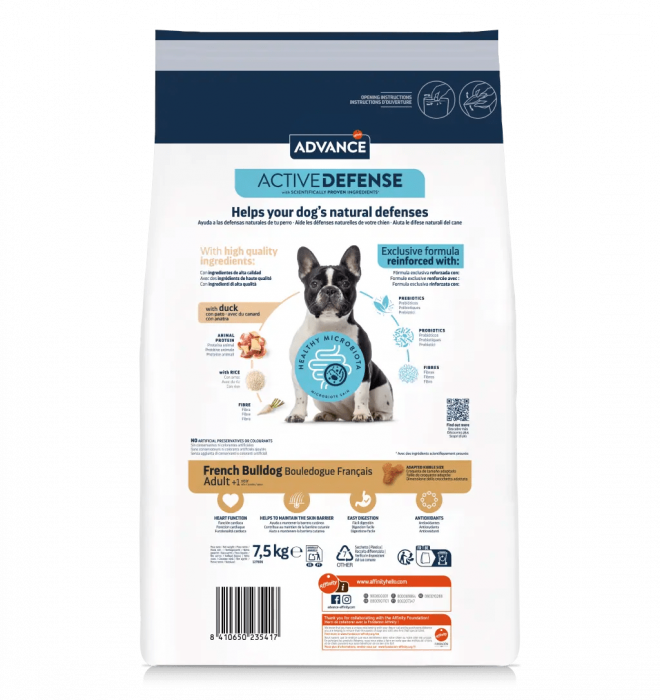Advance French Bulldog [2]