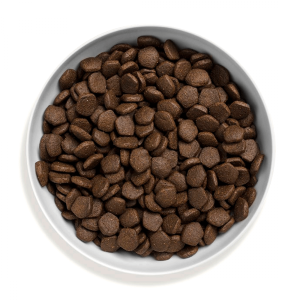 Canagan Grain Free Somon [2]