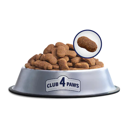 Club 4 Paws Scout Mediu, Maxi [2]
