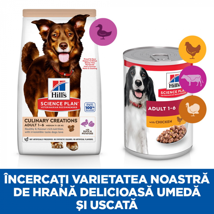 Hill'S SP Canine Adult Mediu Rata si Cartofi [3]