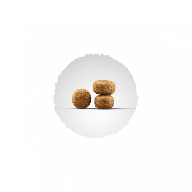 Hrana uscata pentru caini, Josera Balance, 12.5kg [2]