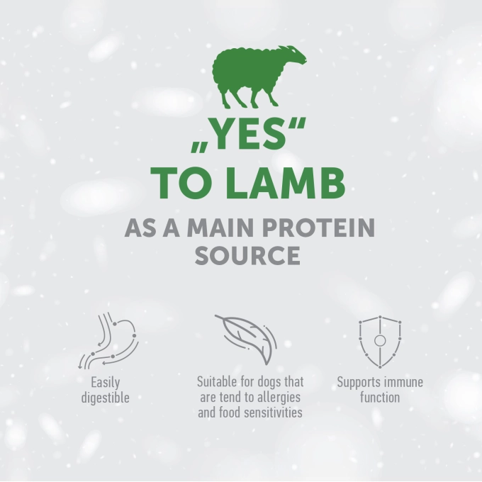 Hrana uscata caini, Nature's Protection Superior Care Red Coat Grain Free Lamb Adult Smalll&Mini Breeds, 1.5Kg [5]