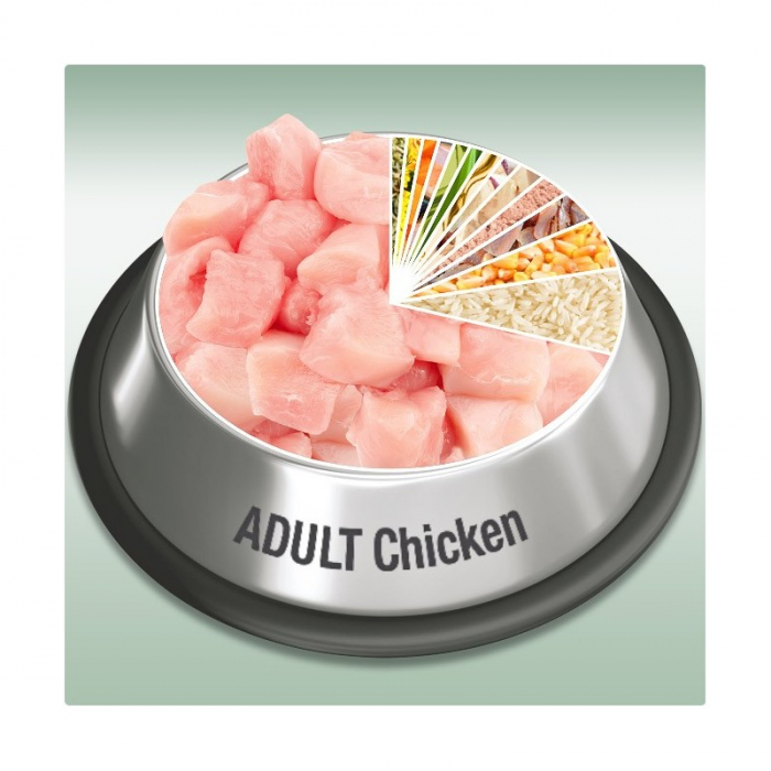 Platinum Adult Chicken [5]
