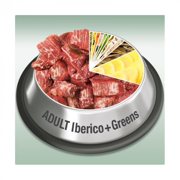 Platinum Adult Iberico Green [5]