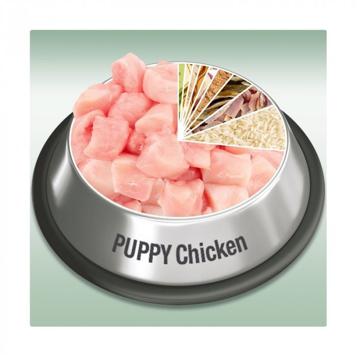 Platinum Puppy [3]