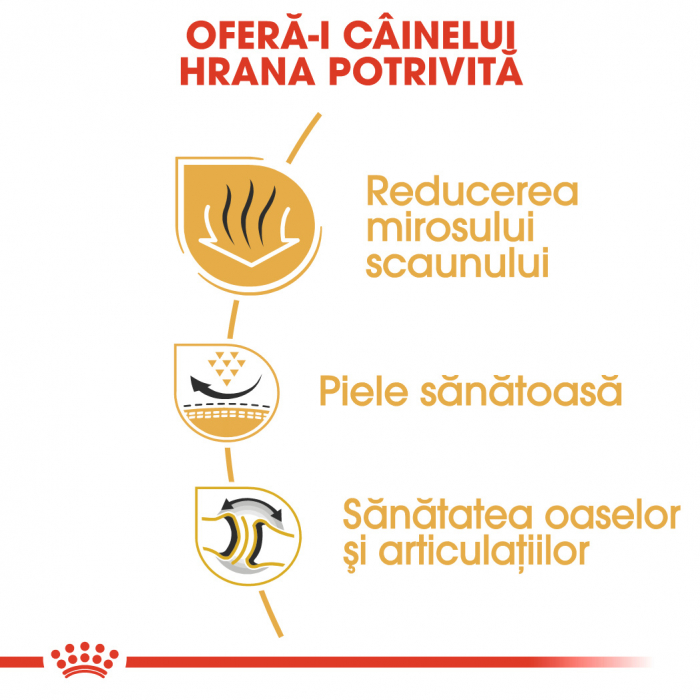 Royal Canin Bulldog Adult [3]