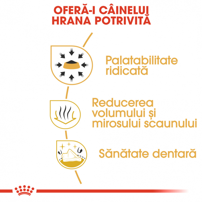 Royal Canin Chihuahua Adult [3]