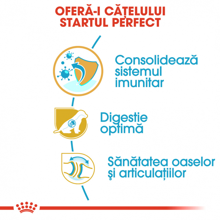 Royal Canin Ciobanesc German Puppy [5]