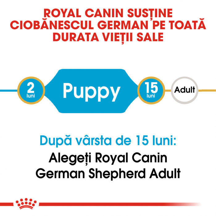 Royal Canin Ciobanesc German Puppy [6]