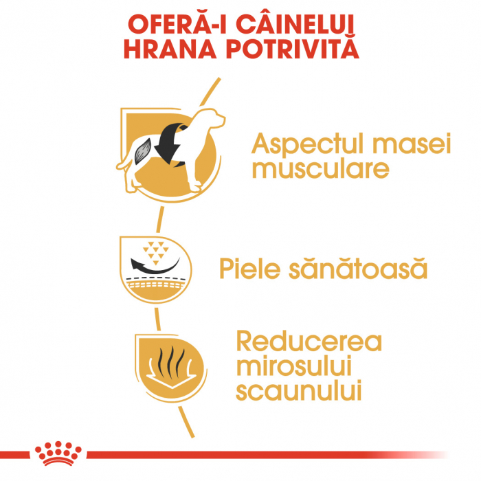 Royal Canin French Bulldog Adult [5]