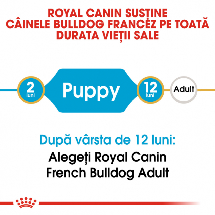 Royal Canin French Bulldog Puppy [3]