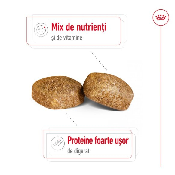 Royal Canin Giant Adult 15 Kg [6]