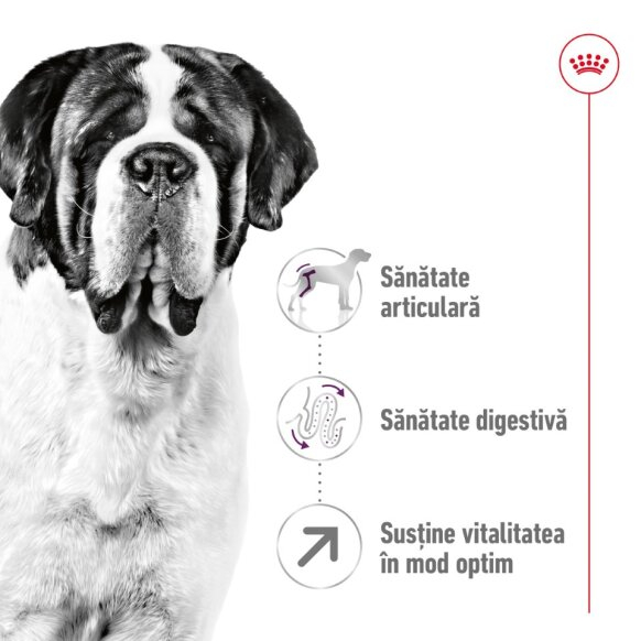Royal Canin Giant Adult 15 Kg [5]