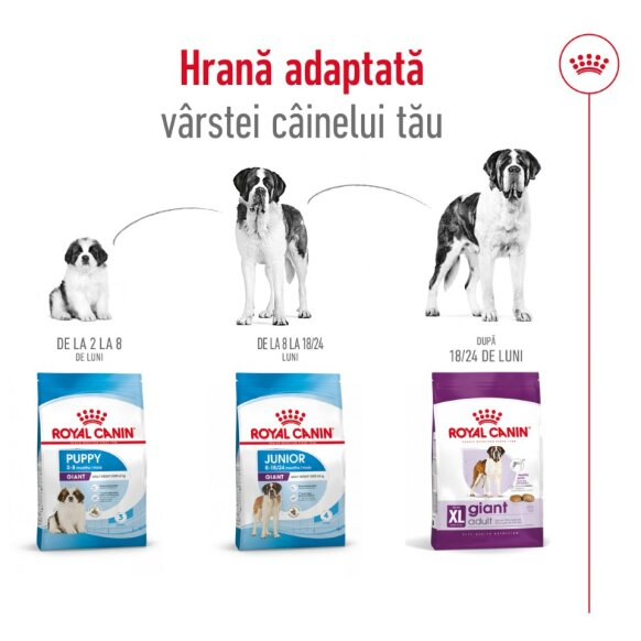 Royal Canin Giant Adult 15 Kg [8]