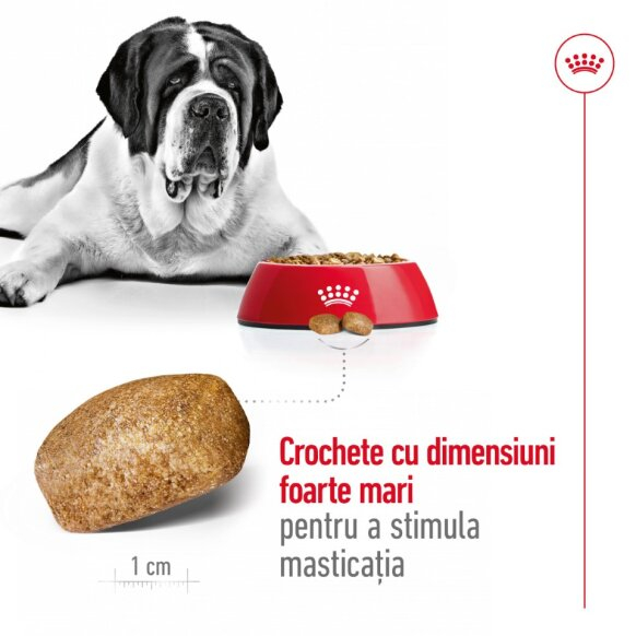 Royal Canin Giant Adult 15 Kg [7]