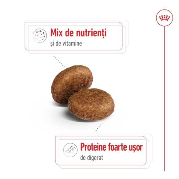 Royal Canin, Maxi Adult 5+ [5]