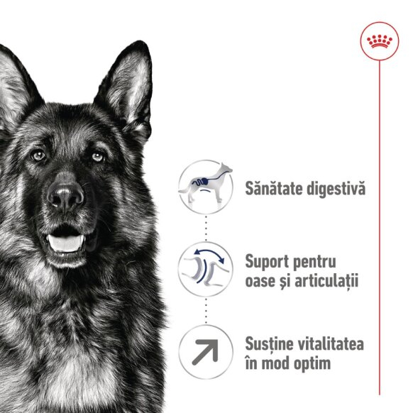 Royal Canin, Maxi Adult 5+ [4]