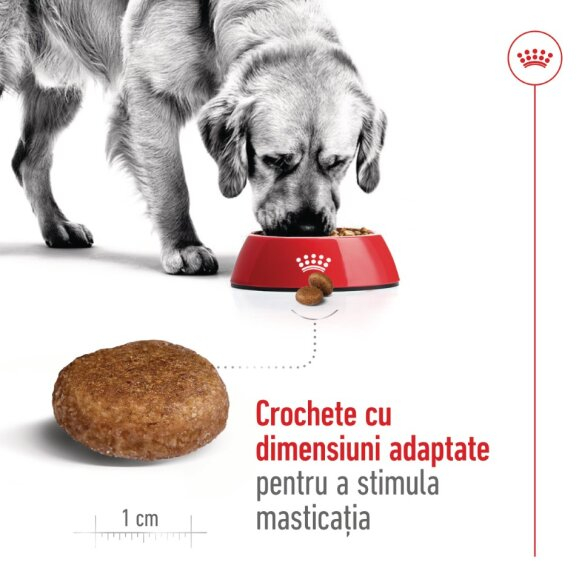 Royal Canin, Maxi Adult 5+ [6]