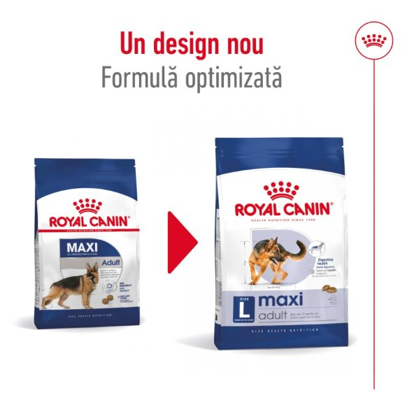 Royal Canin Maxi Adult [5]
