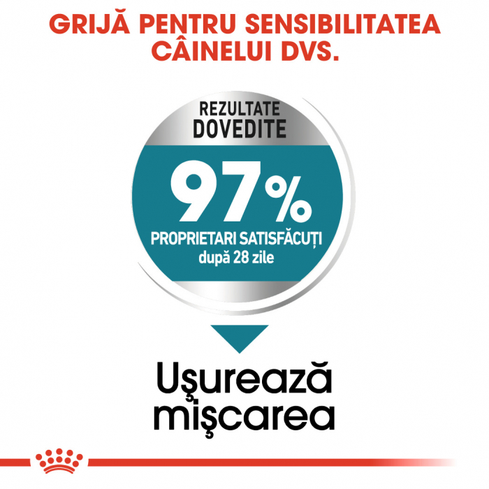 Royal Canin Maxi Joint Care [7]