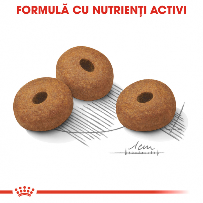 Royal Canin Maxi Light Weight Care [6]
