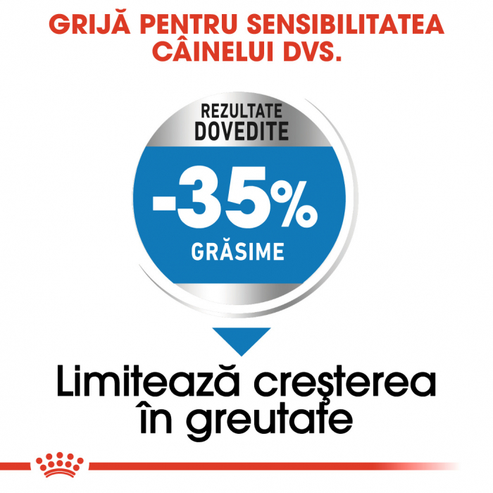 Royal Canin Maxi Light Weight Care [3]
