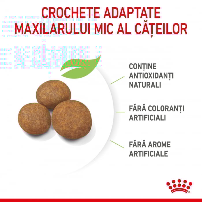 Royal Canin Maxi Puppy [6]