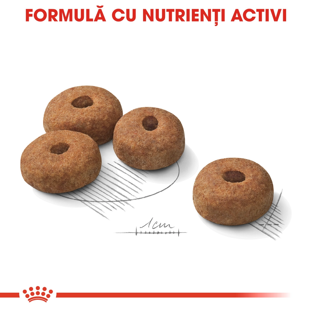 Royal Canin Maxi Sterilised Adult [5]