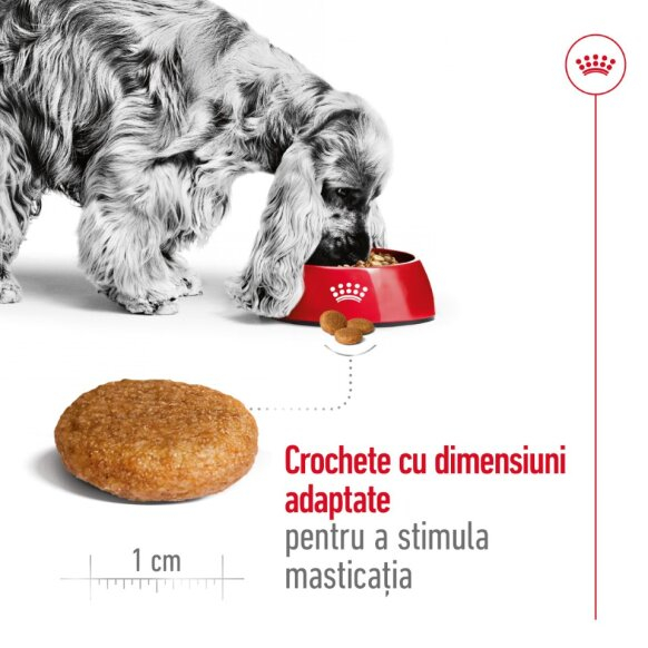 Royal Canin Medium Adult [7]