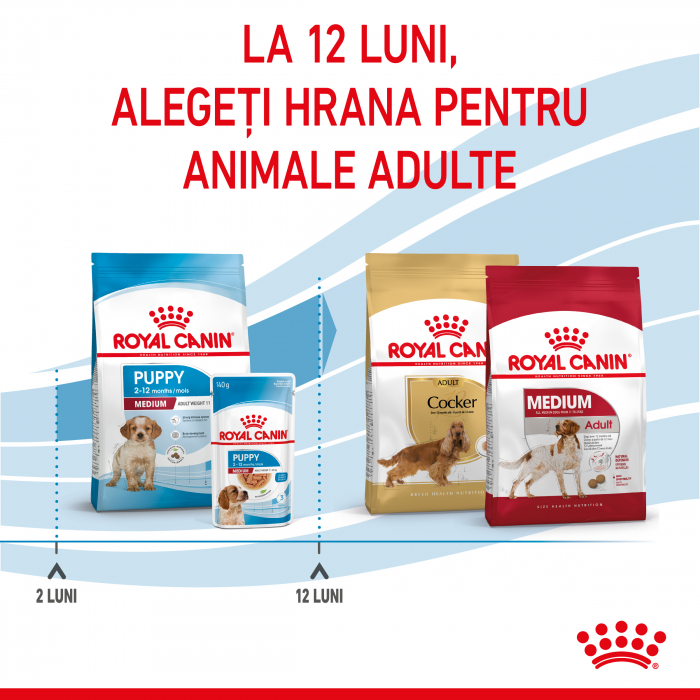 Royal Canin Medium Puppy [9]