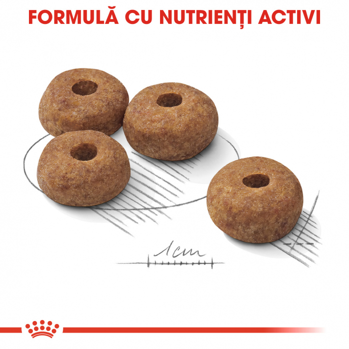 Royal Canin Medium Sterilised Adult [6]