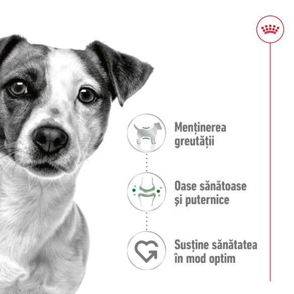 Royal Canin Mini Adult Hrana Uscata [5]