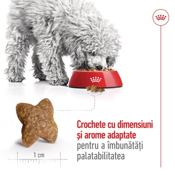 Royal Canin Mini Adult Hrana Uscata [7]