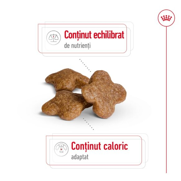 Royal Canin Mini Adult 8+ [6]