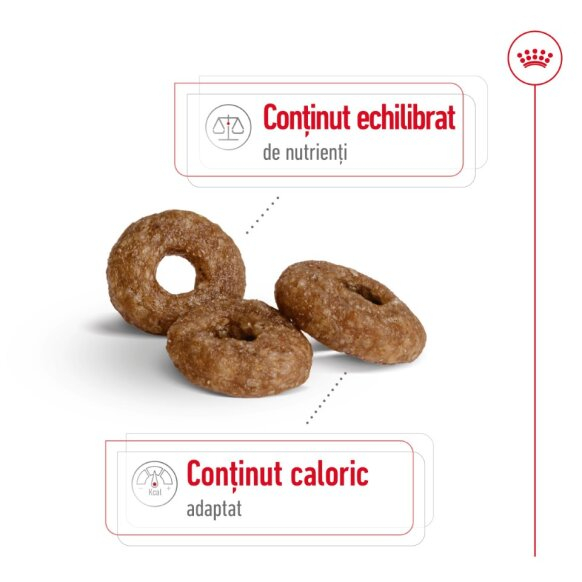 Royal Canin Mini Ageing [5]
