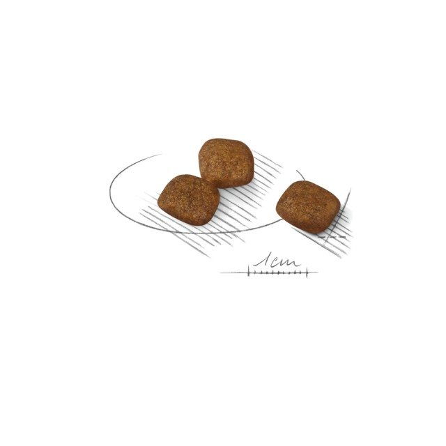 Royal Canin Mini Coat Care [3]