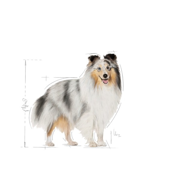 Royal Canin Mini Coat Care [2]