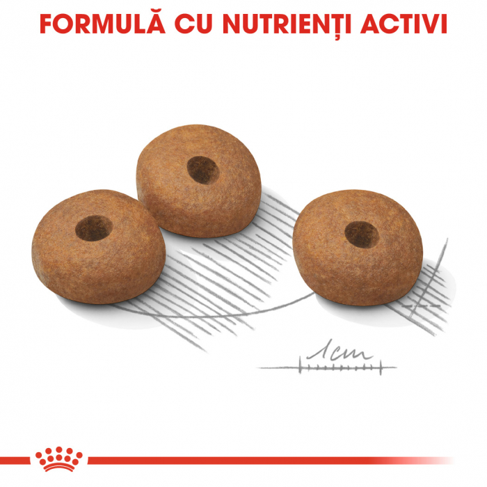 Royal Canin Mini Light Weightcare [6]