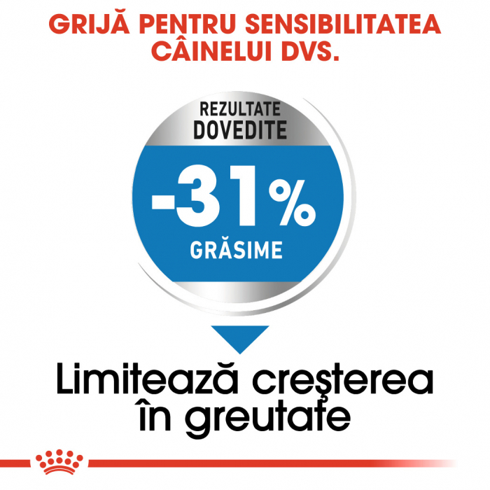Royal Canin Mini Light Weightcare [3]
