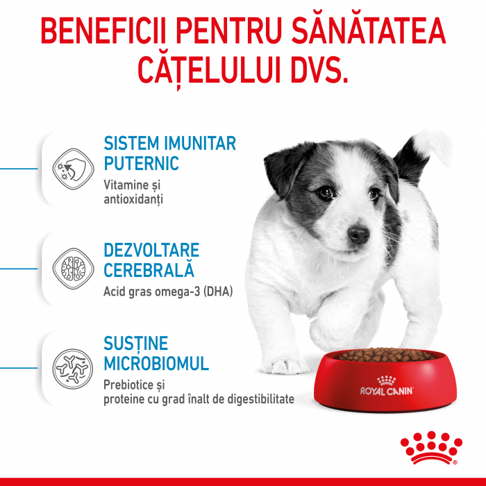 Royal Canin Mini Puppy [4]
