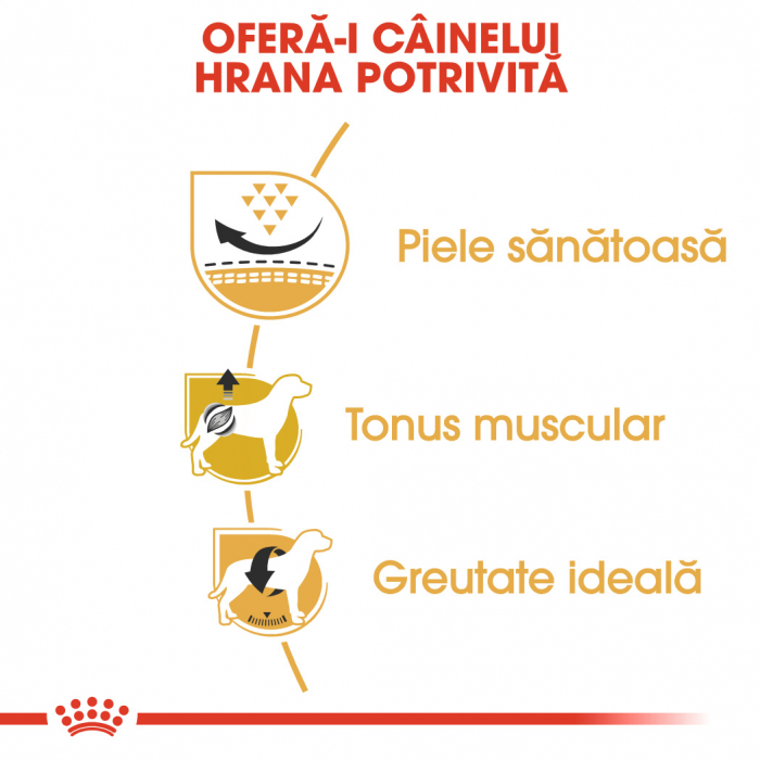 Royal Canin Pug Adult 1.5Kg [3]