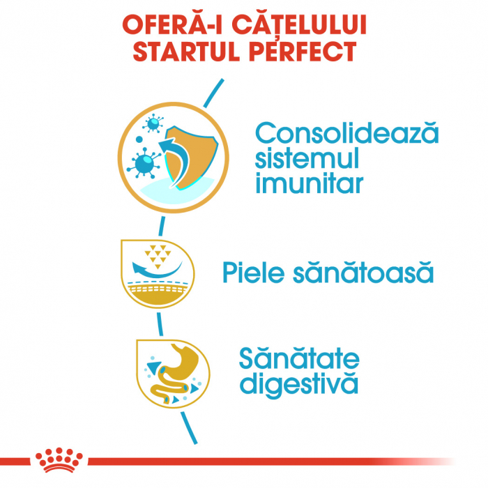 Royal Canin Pug Puppy 1,5 kg [4]